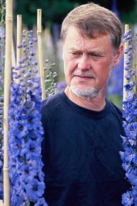 Lennart Larsson bland riddarsporrar på plantskolan.