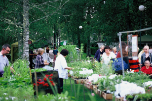 Planskolans utställning på Rottneros trädgårdsfestival
